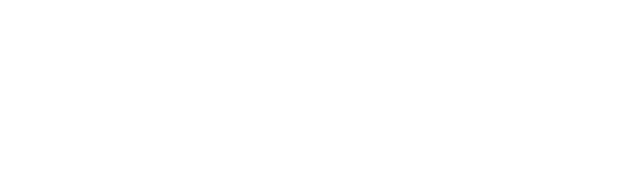 浜松メンズエステ プレミアムアロマ Logo